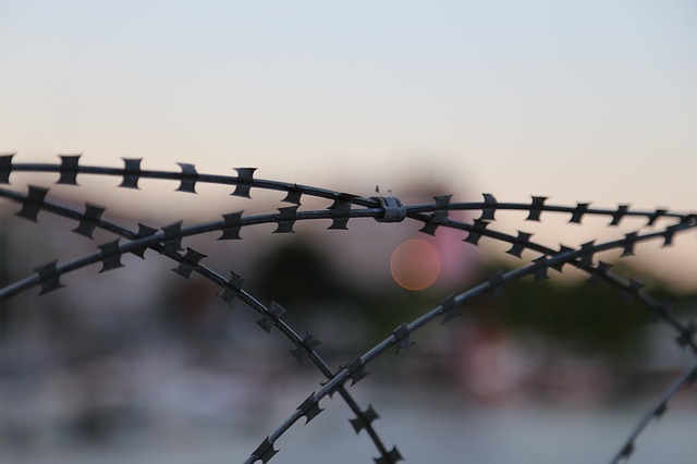 barb-wire-1052644_640