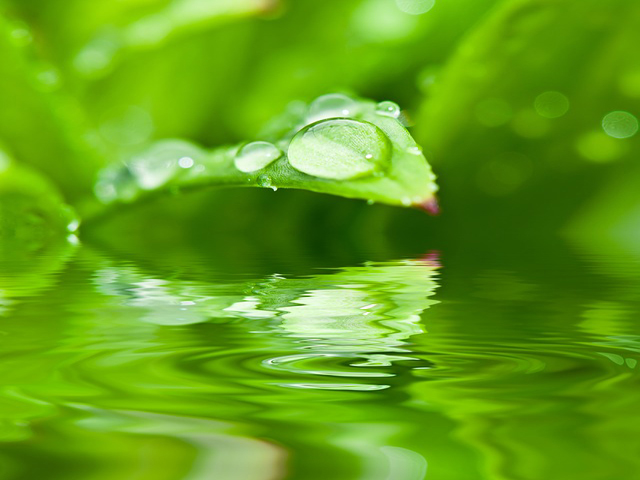 drip-339939_640