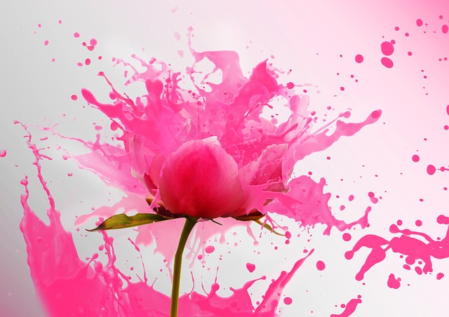 flowers-644806_640
