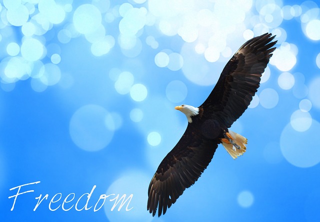 freedom-945300_640
