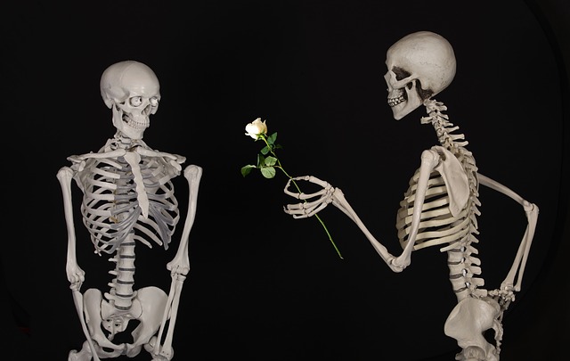 skeletal-601213_640