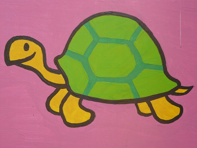turtle-6099_640