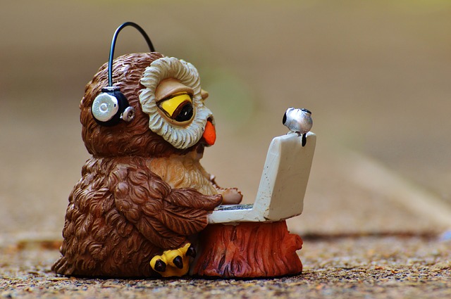 owl-947741_640