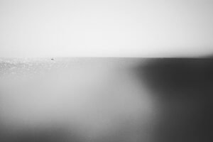 スイミー作者レオ レオニが伝えたかったことと不登校の共通点 孤独は自分を見いだせる一つの手がかり オヤトコ発信所